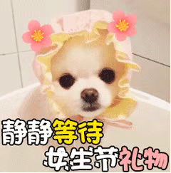 37女生节讨要礼物的表情包合集来了