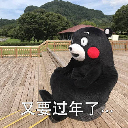 快过年了，我准备开始减肥啦