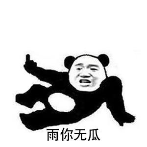 熊猫头游乐娃子三连表情包合集