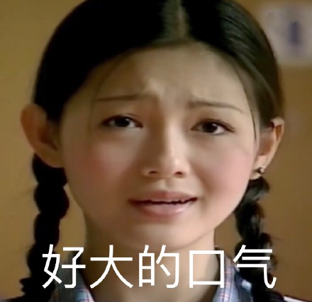 《流星花园》杉菜表情包