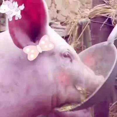 今天的情侣头像来啦！快和对象安排上