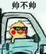 聊天斗图必备！小黄鸡开车表情包合集