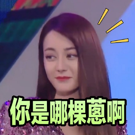 《极限挑战》公益演唱会迪丽热巴表情包合集