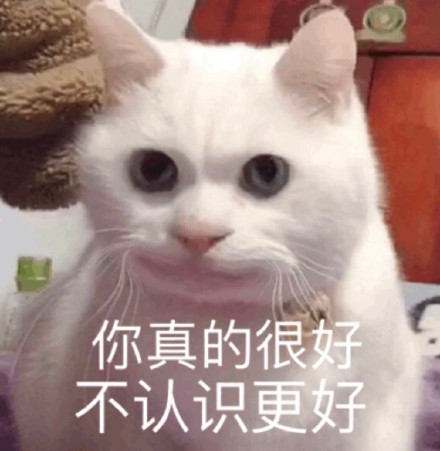 整理好的猫咪斗图表情包合集