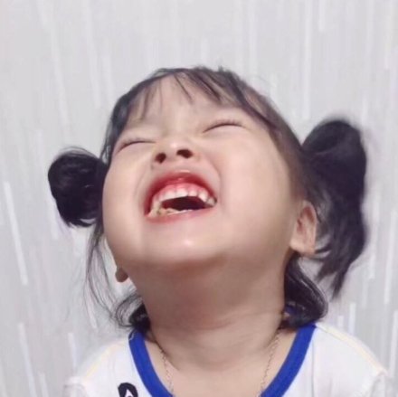 权律二表情包合集来啦