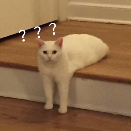 聊天斗图常备！这组疑惑问号表情包太好用了