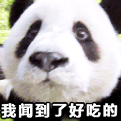 大熊猫滚滚表情包合集来啦