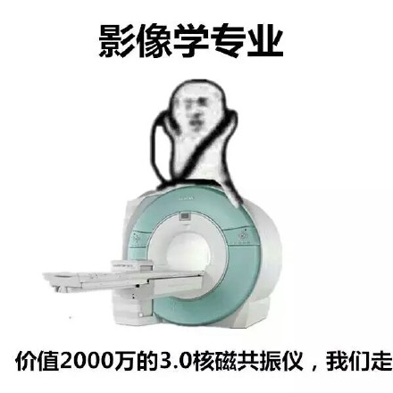 用一张表情包，总结你的大学专业