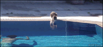 「吓死本宝宝了」主题动图合集