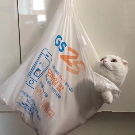 挑头像看这里！这组好看的头像合集直接存