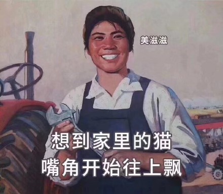 猫咪铲屎官专属表情包来啦