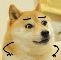 聊天斗图必备！这组柴犬动态表情包太好用了