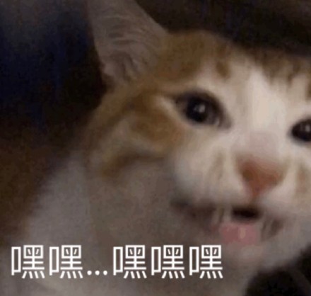 网友都在找的猫猫表情包合集