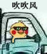 聊天斗图必备！小黄鸡开车表情包合集