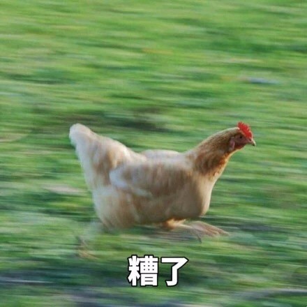 即将开学的你别慌！这套飞奔的鸡表情包完美戳中你的状态