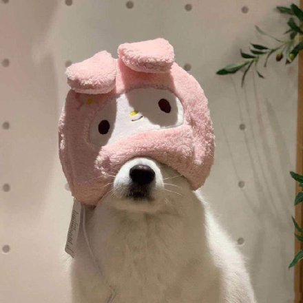 今天的头像合集来啦