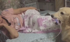 「狗生艰难」表情包来啦！快来斗图用起来