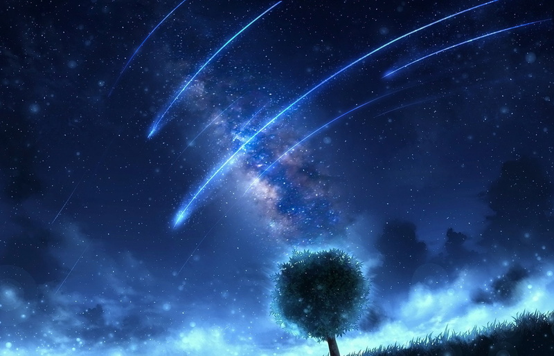 孤独的树与星空 1080P动漫高清壁纸