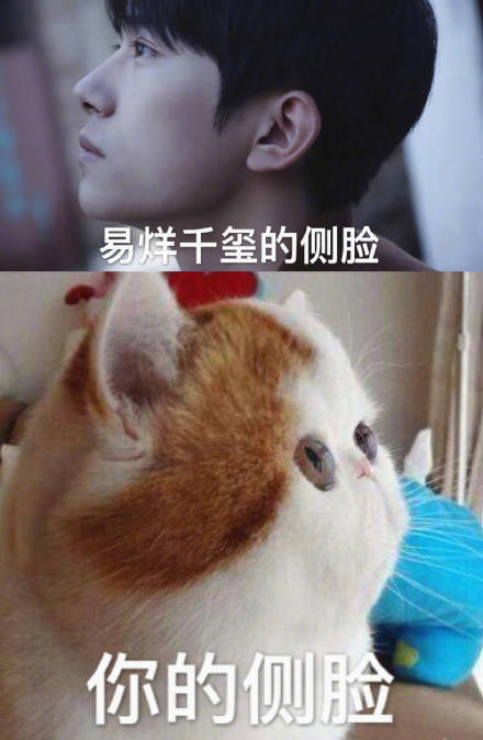 易烊千玺VS你表情包合集来了