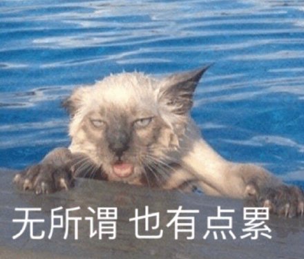 谁懂啊！这套沙雕猫咪表情包真的能笑到打鸣