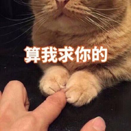 猫咪表情包合集来啦！这里整理了多款软萌又自带梗的猫咪表情，涵盖撒娇、认错、摆烂等多种日常聊天常用的情绪表达，用户可以在发表情网站直接下载使用。