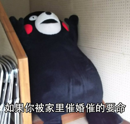 被家里催婚怎么办？试试把主动权握在自己手里