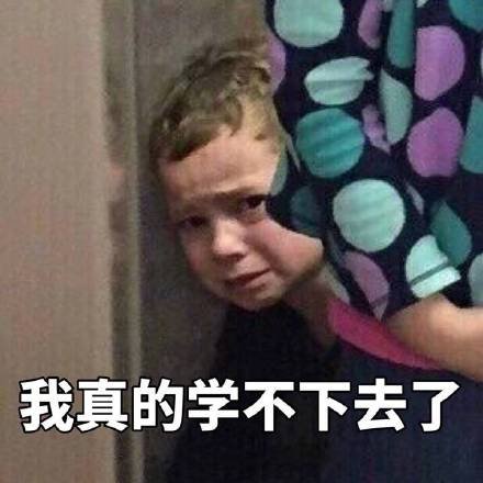假笑男孩Gavin专属学习表情包上新啦