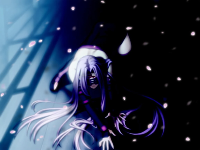 《樱花飘落间的圣杯之战》