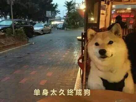 单身狗的真心话大公开