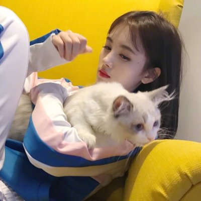 29张高清可爱抱猫女生头像 快来挑合适的用