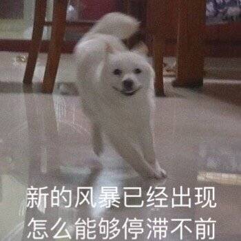 汪星人奔跑表情包合集来了