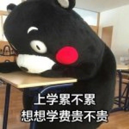 熊本熊版“人间真实”表情包来了：用火锅、脱发当“打气口号”
