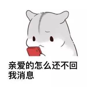 情侣聊天必备！软萌小兔几表情包合集
