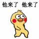 超实用小黄鸡路过表情包合集