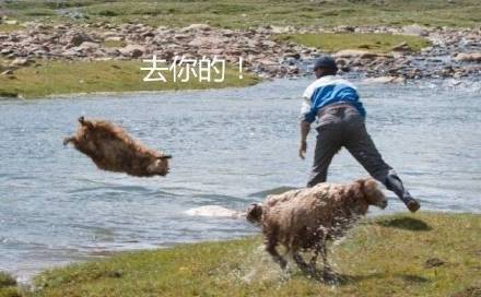 想把烦心事全丢掉？这套表情包帮你一键清空