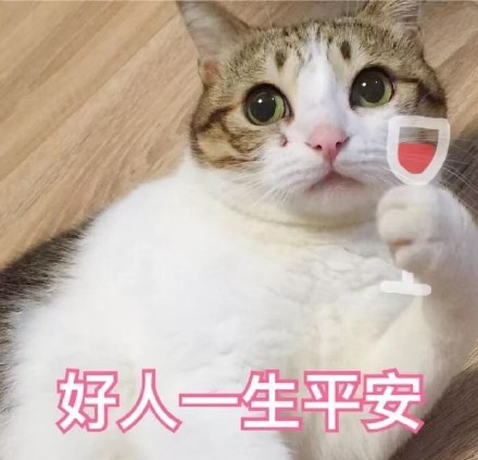 猫咪表情包第五弹来啦！