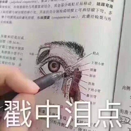 医学生专属表情包合集来啦！