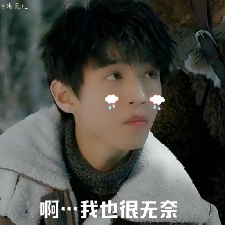 《天坑鹰猎》王俊凯表情包合集