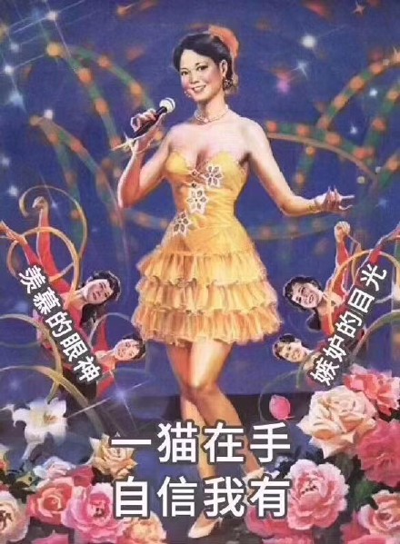 猫咪铲屎官专属表情包来啦