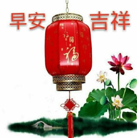 适合中老年人的早安问候表情包合集