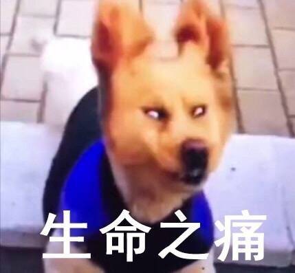 这套“生命之痛”表情包，戳中了多少人的日常emo