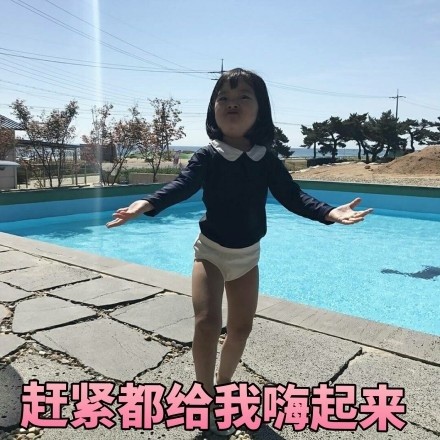 全网最全权律二表情包合集，斗图必备