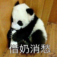 大熊猫滚滚表情包合集来啦