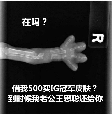 猫爪X光借钱表情包合集