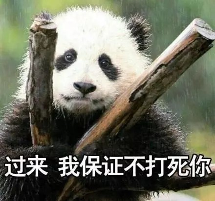 整理好的大熊猫斗图表情包合集
