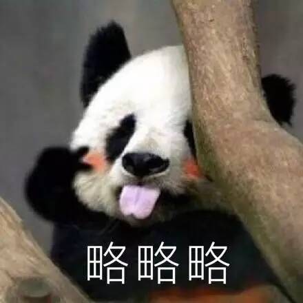 软萌大熊猫表情包合集来啦
