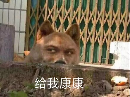 「给我康康」表情包大全