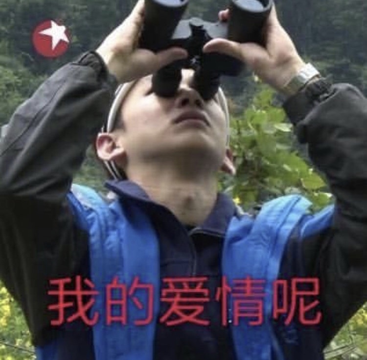 情人节专属斗图素材来啦