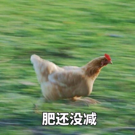 即将开学的你别慌！这套飞奔的鸡表情包完美戳中你的状态