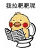 小鹦鹉便秘看报纸 这套表情包火了